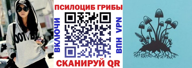Купить закладки  Черемхово  Псилоцибиновые грибы Psilocybe 